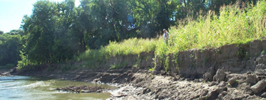 Kaskaskia River Bank Erosion Figure - Kaskaskia River Bank Erosion